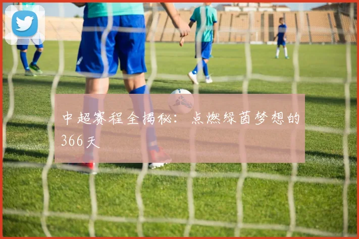 中超赛程全揭秘：点燃绿茵梦想的366天